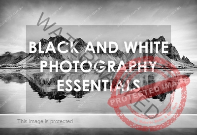 Black and White Photography Essentials