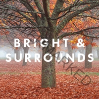 Bright and Surrounds