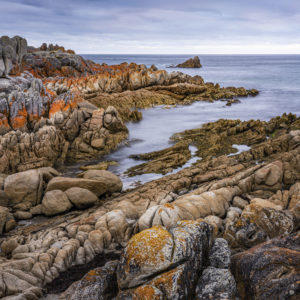 Ancient Coast