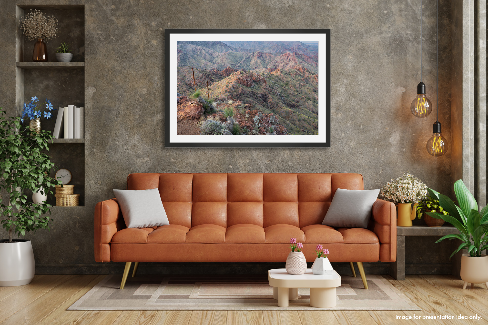 Arkaroola - Image 3