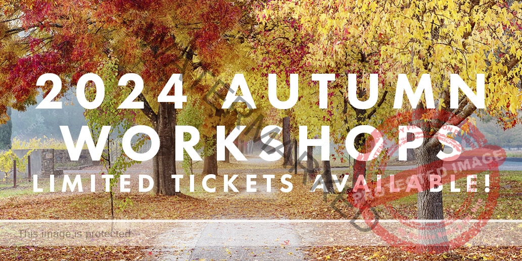 Autumn Workshops 2024