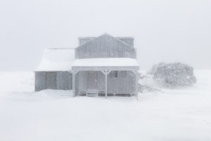 Blowhard Blizzard