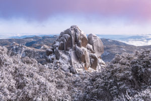 Cathedral of Ice