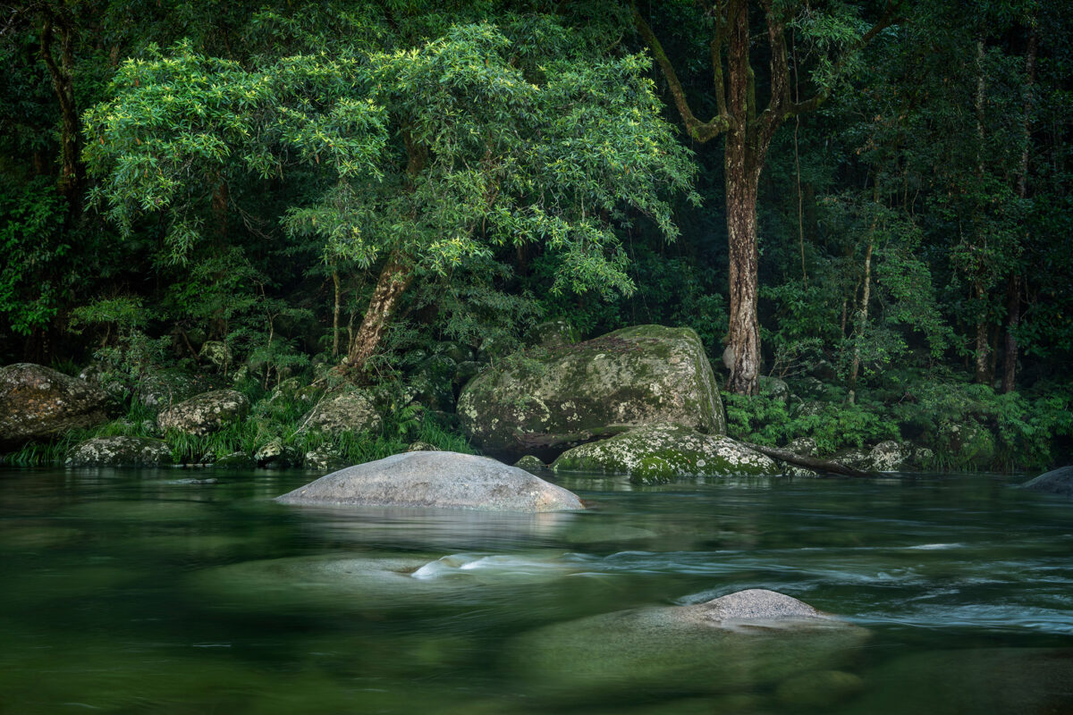 Mossman