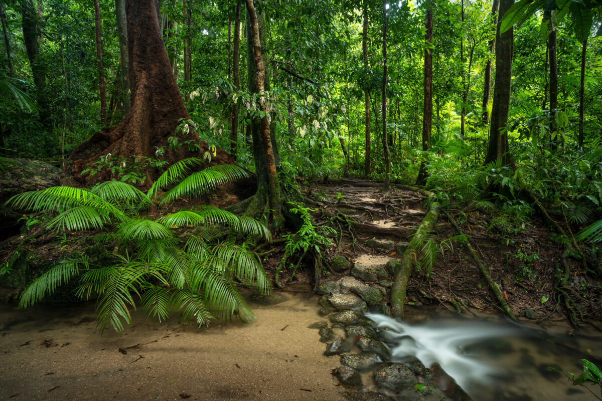 Mossman Magic