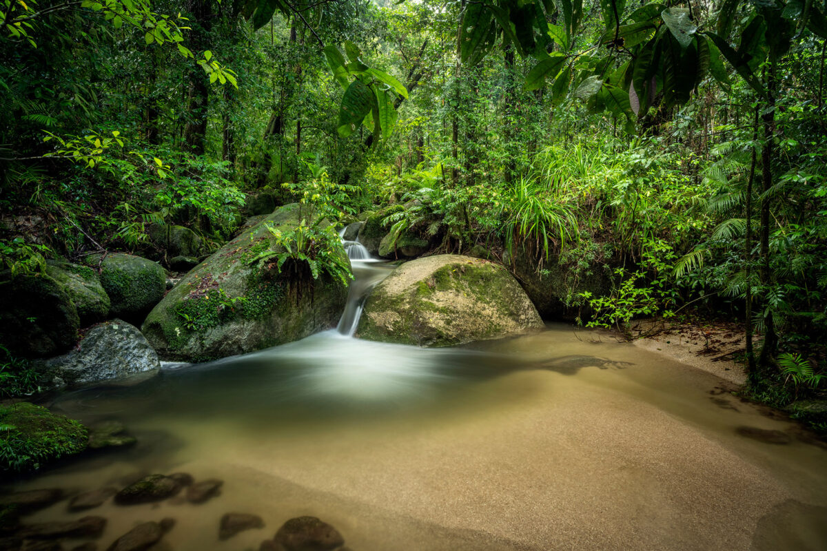 Mossman Secret