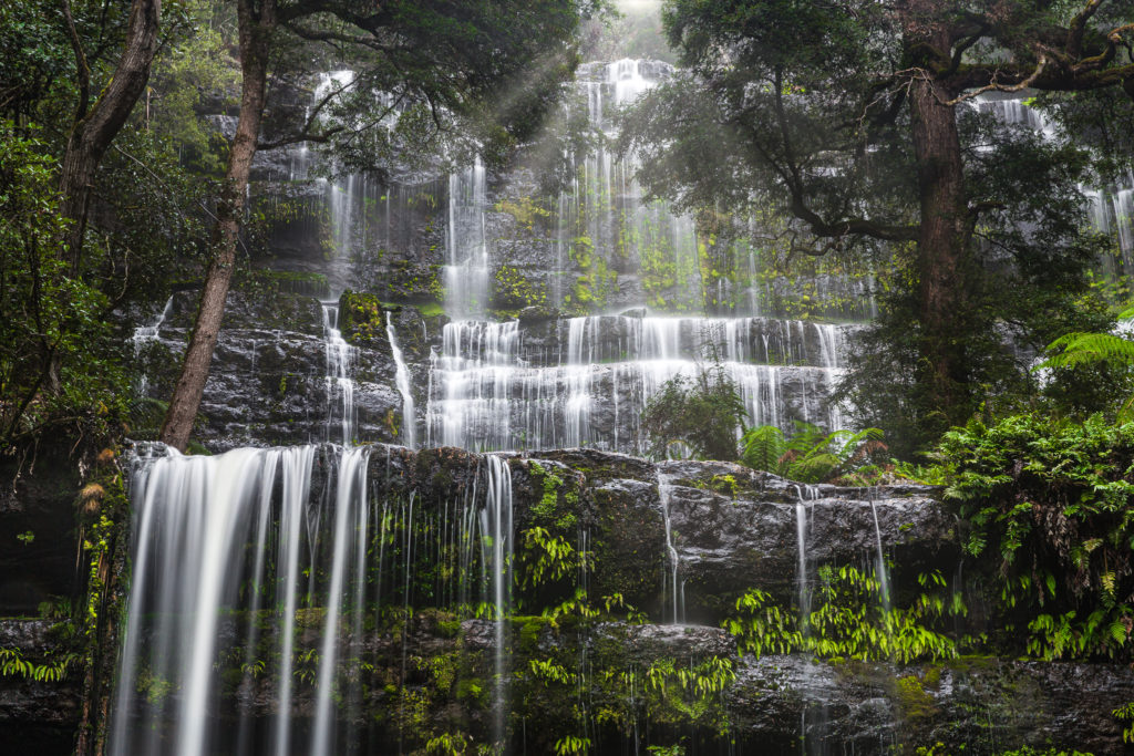 Russell Falls Tiers - Alpine Light