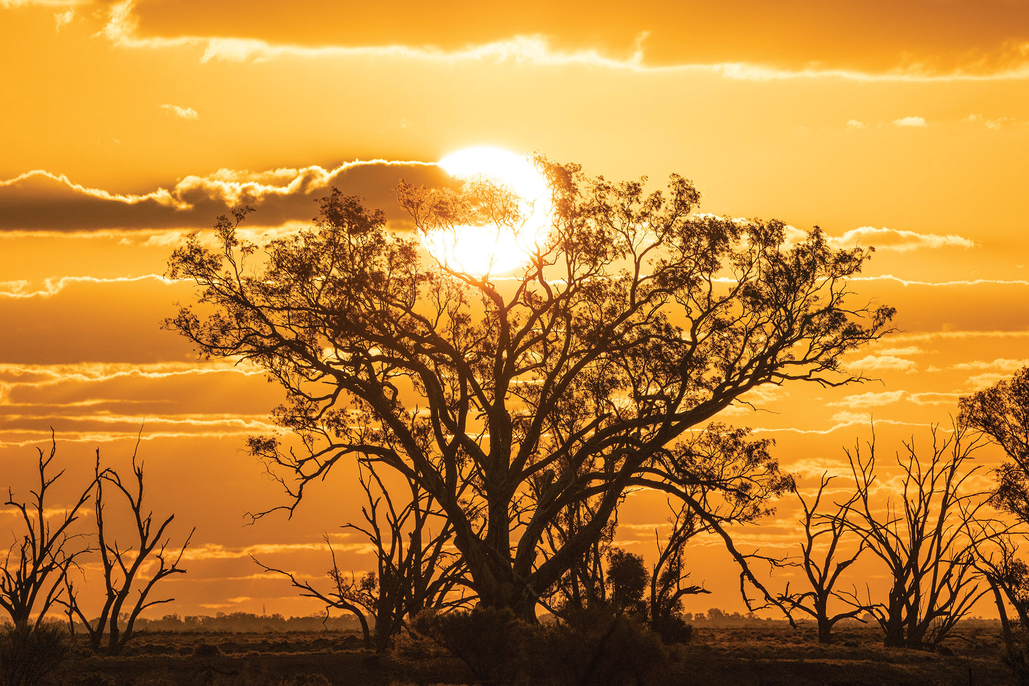Sunburnt Country