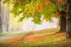 Beautiful Bright