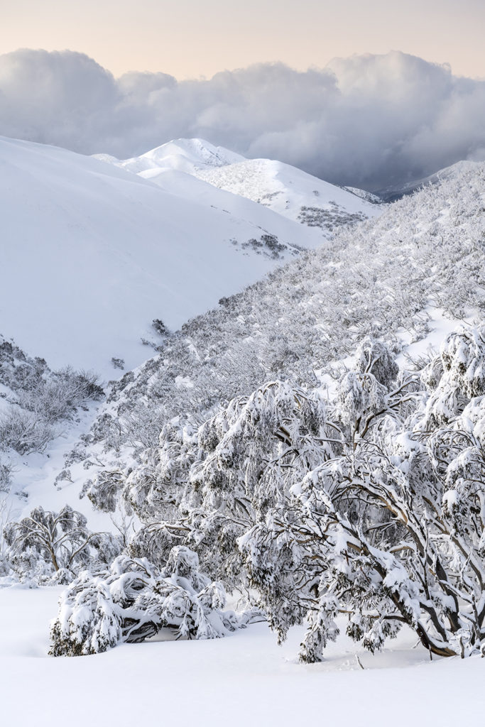 Feathertop From Afar – Alpine Light